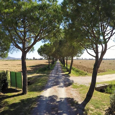 Terra Di Cortona Villa Dış mekan fotoğraf