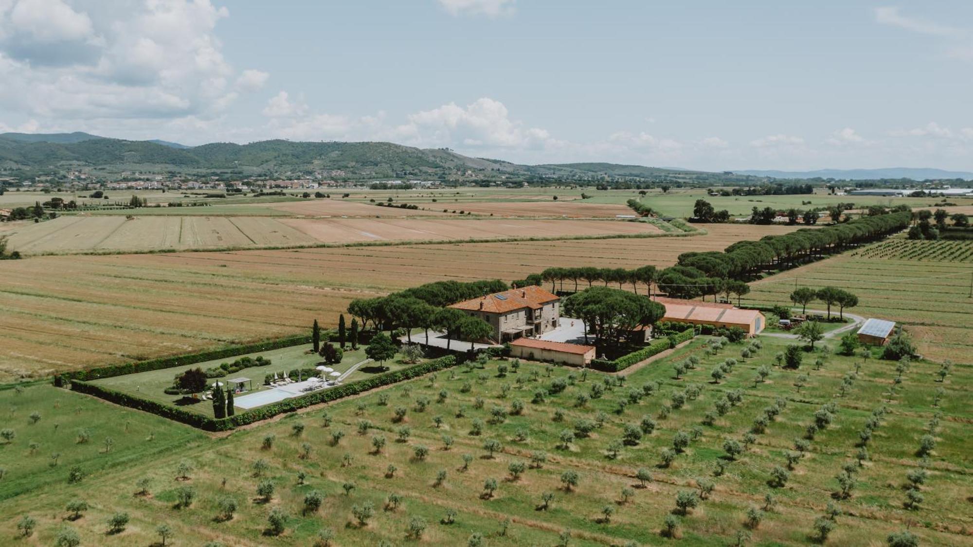 Terra Di Cortona Villa Dış mekan fotoğraf