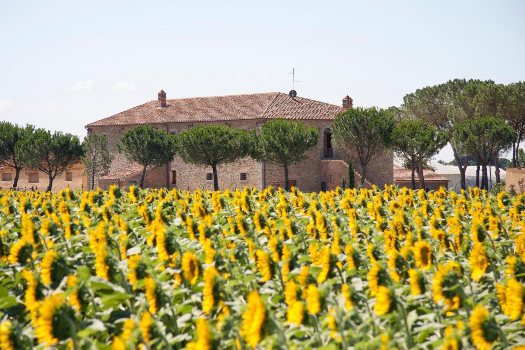 Terra Di Cortona Villa Dış mekan fotoğraf