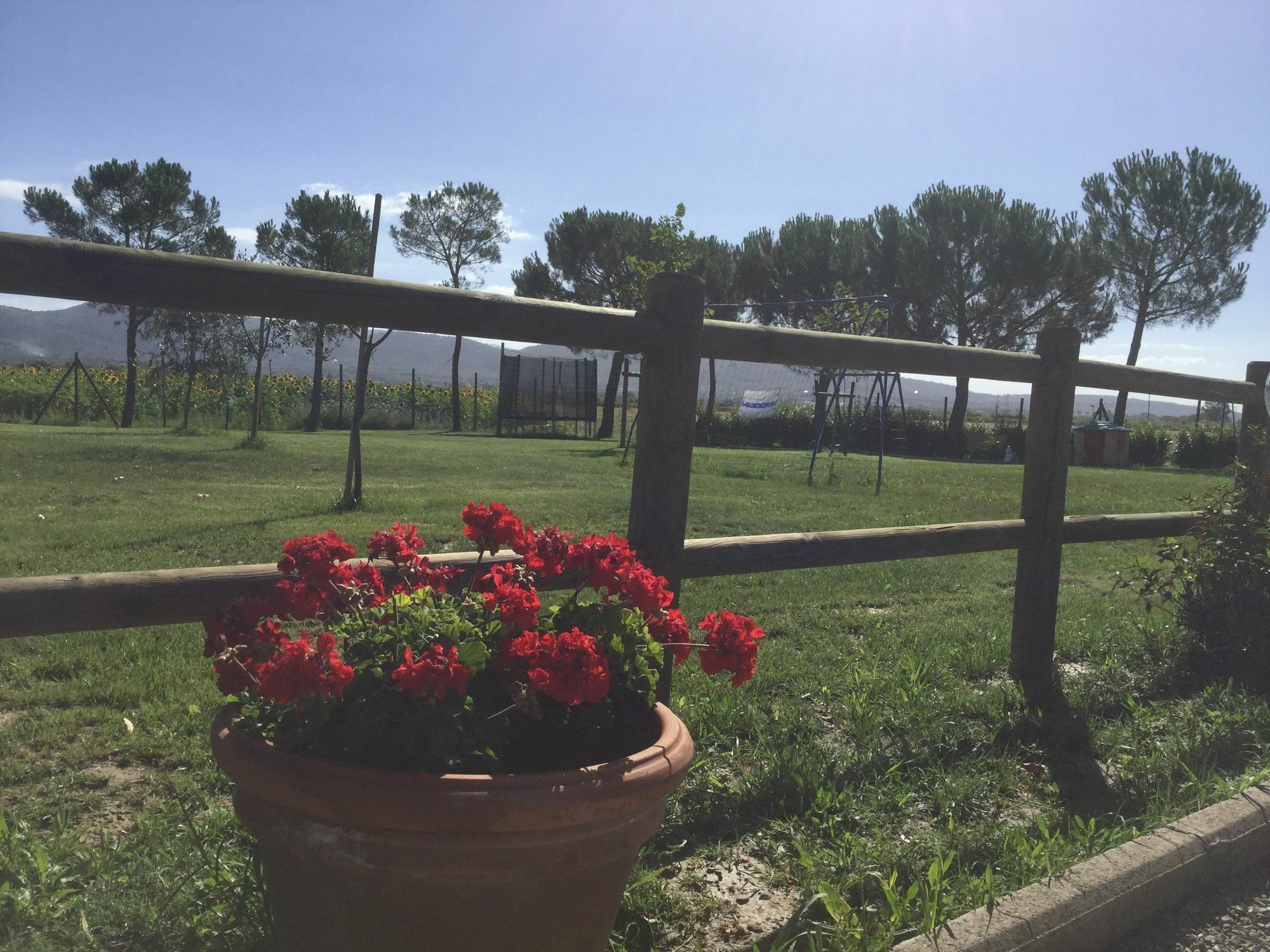 Terra Di Cortona Villa Dış mekan fotoğraf